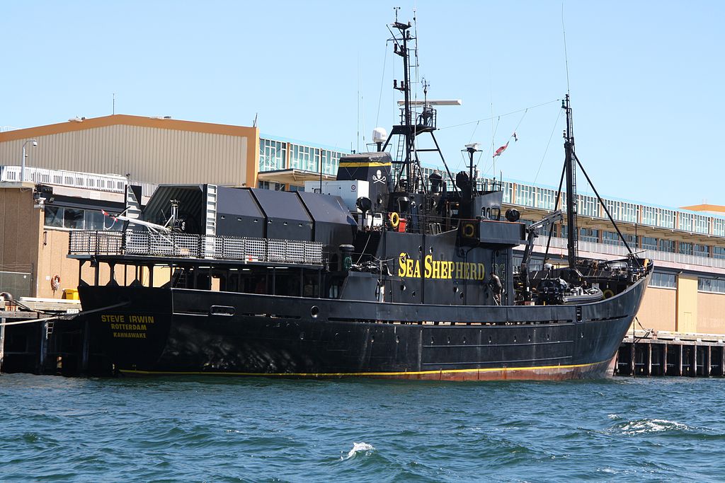 The Sea Shepherds is an international non-profit, marine conservation organization. Pic for representational purpose only.