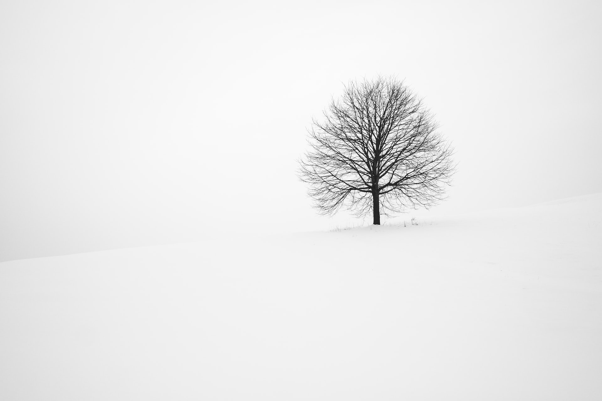 Read_Winter_Unsplash